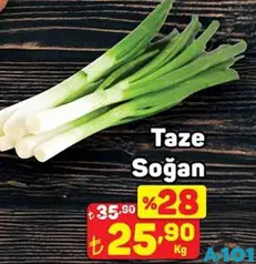 TAZE SOĞAN KG fiyat ve kampanya bilgisi